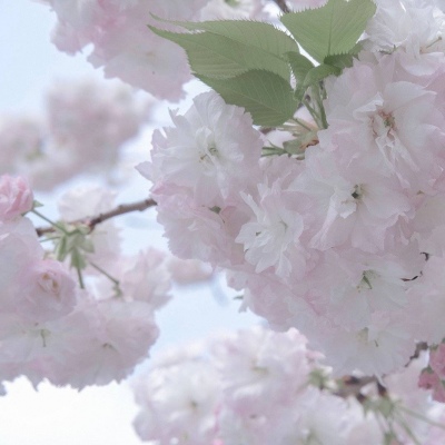 Furry插画构图思路兽圈群